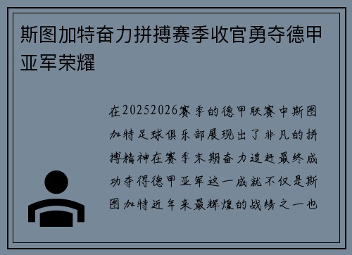 斯图加特奋力拼搏赛季收官勇夺德甲亚军荣耀