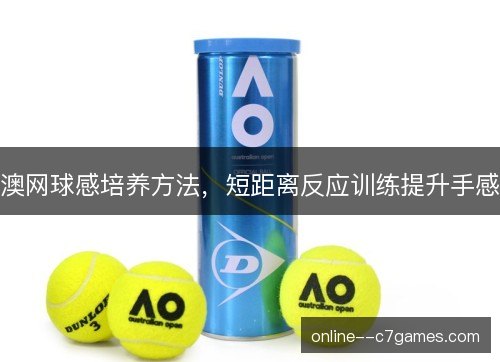 澳网球感培养方法，短距离反应训练提升手感